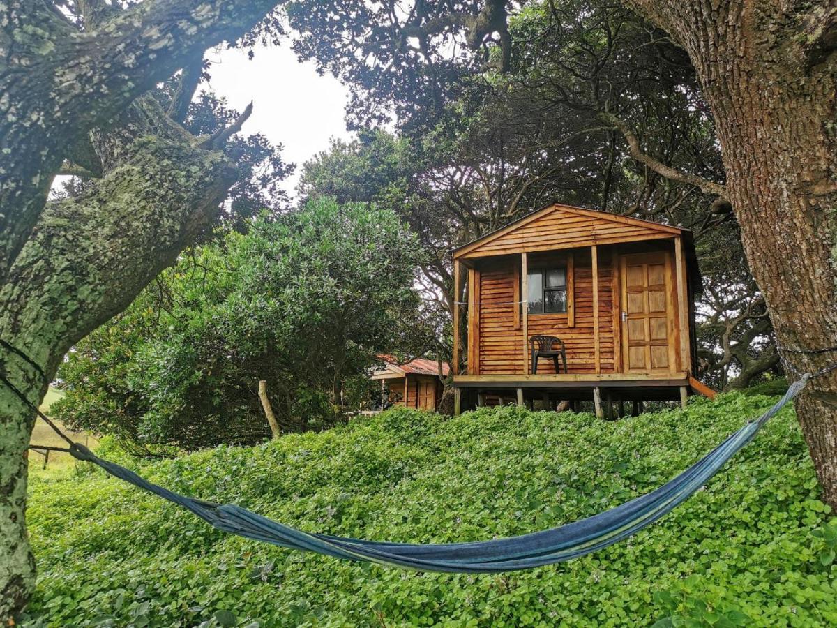 Bulungula Xhosa Community Lodge 部屋 写真